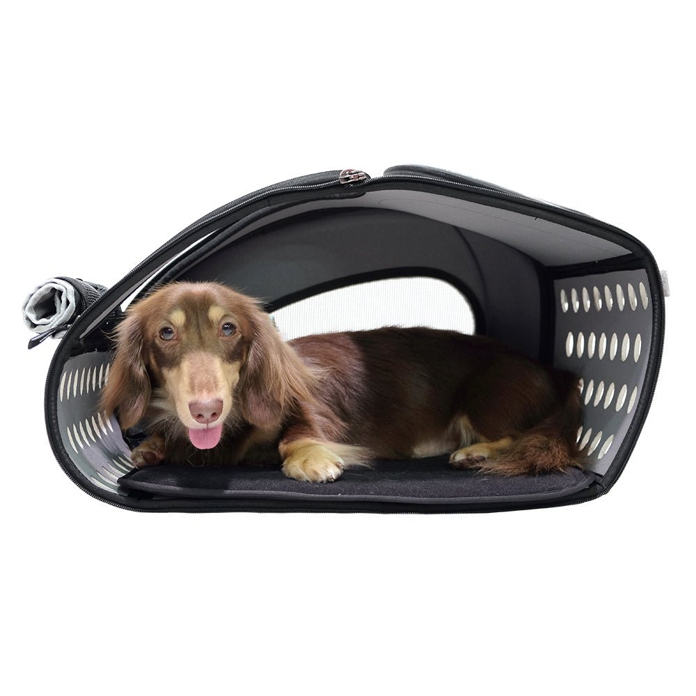 Ibiyaya 5 - in - 1 Combo Pet Carrier & Stroller - Chocolate - House Of Pets Delight (HOPD)