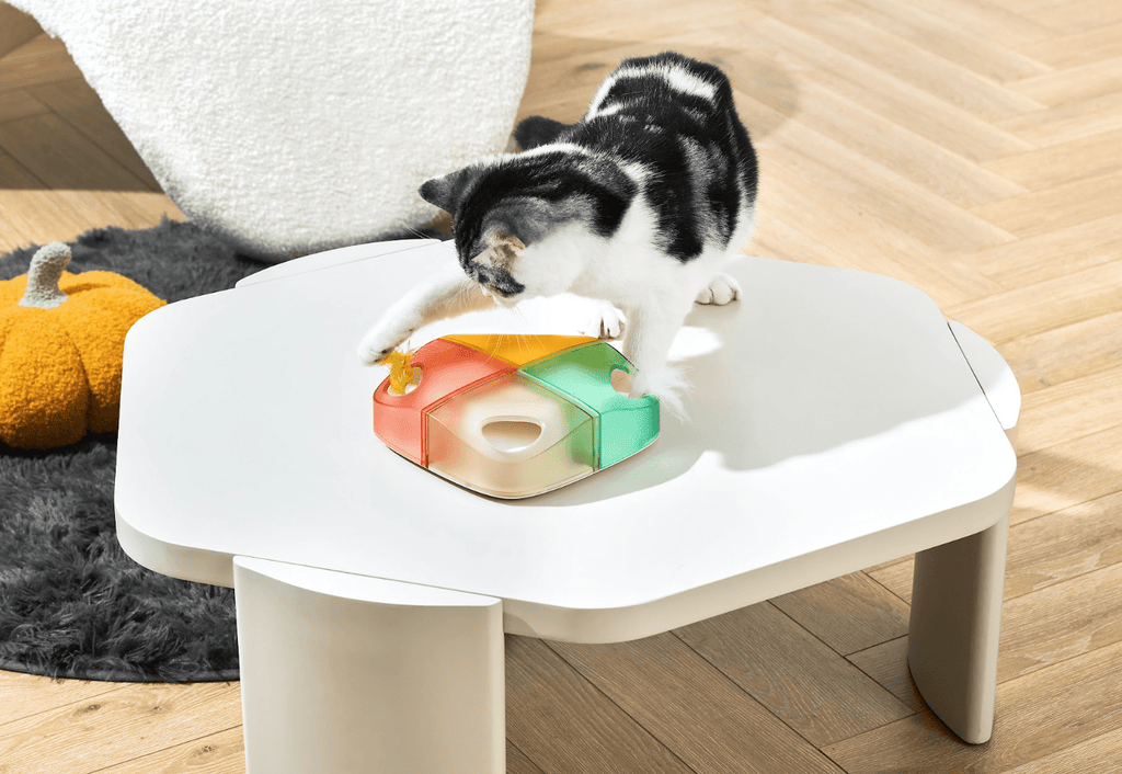 Interactive Feathered Rechargeable Automatic Cat Toy Box - House Of Pets Delight (HOPD)