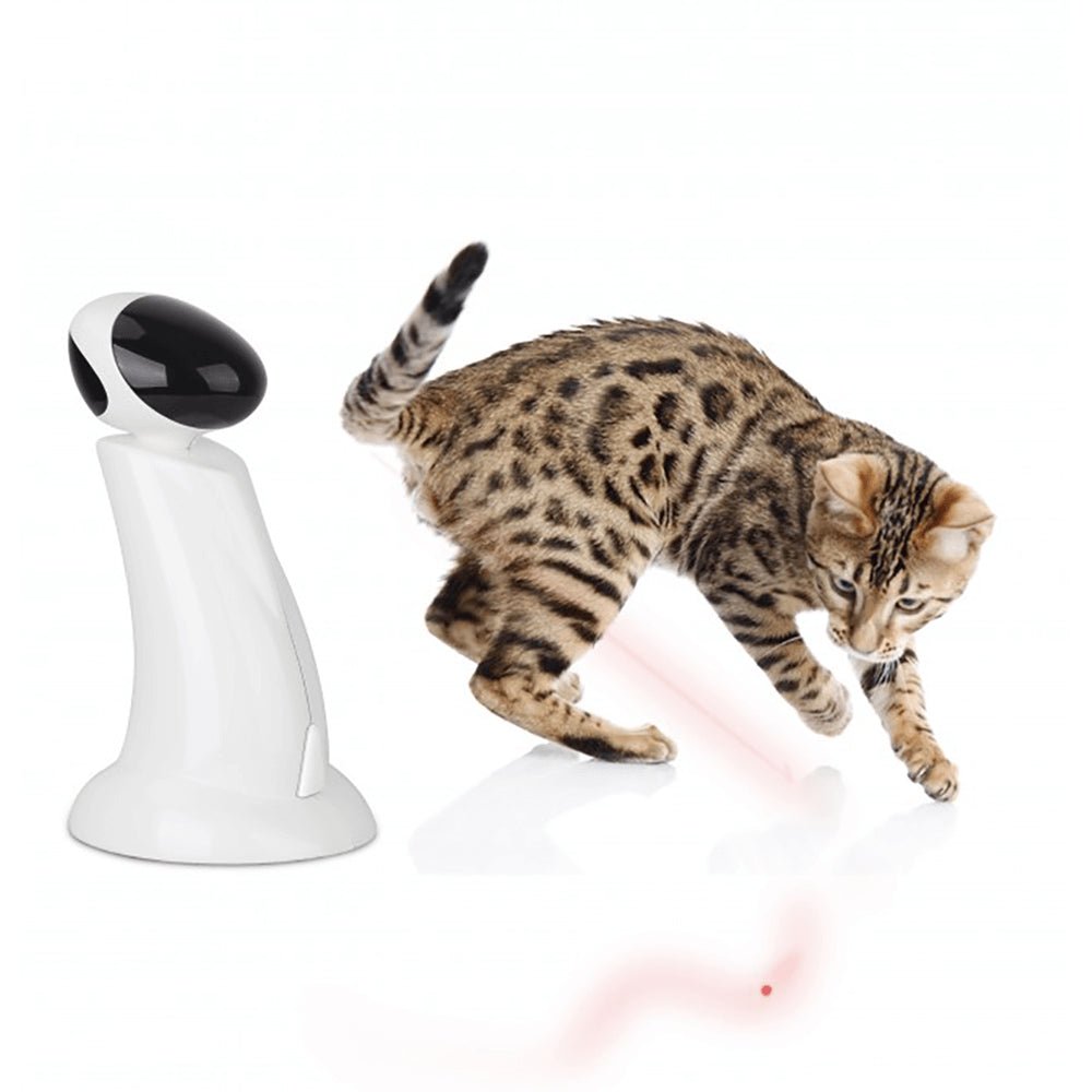 Laser Beam Cat Toy - Interactive Automatic Robot Pointer Pet Kitty Play - House Of Pets Delight (HOPD)