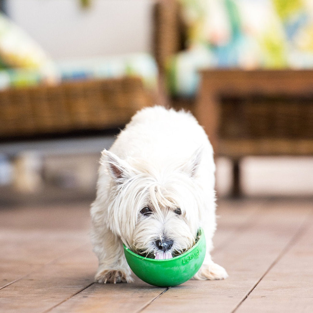 LickiMat Wobble Slow Food Bowl (4 Colours) - House Of Pets Delight (HOPD)