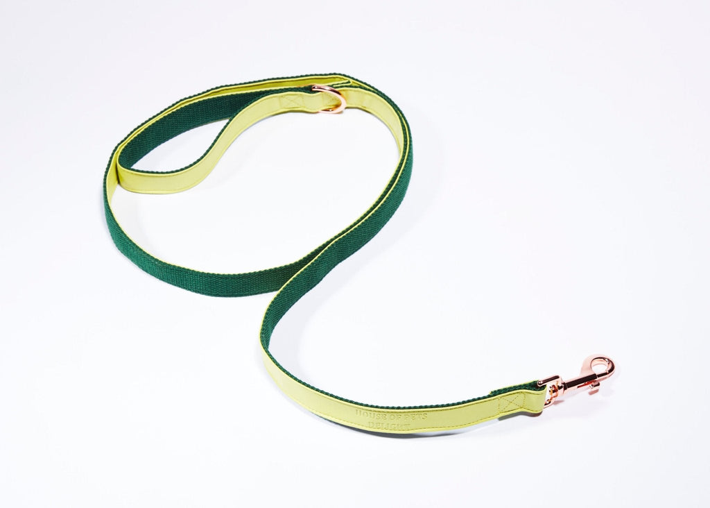 'Lime' Step In Harness Set - House Of Pets Delight (HOPD)