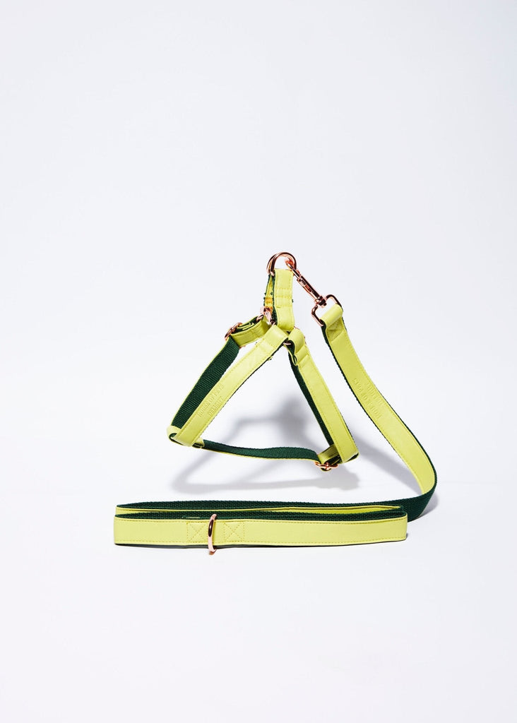 'Lime' Step In Harness Set - House Of Pets Delight (HOPD)