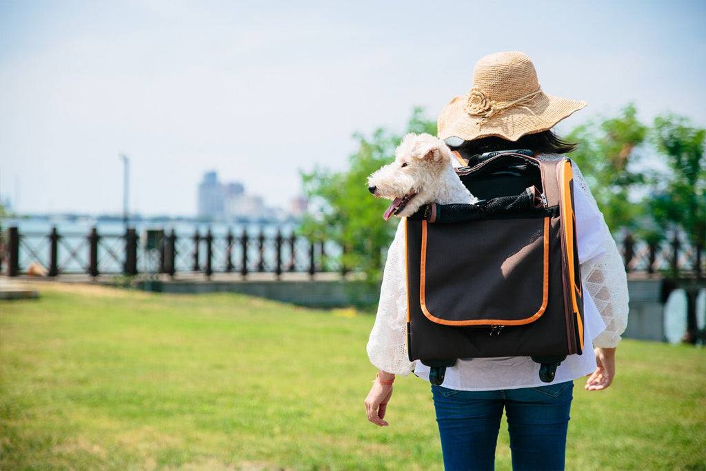 Liso Backpack Parallel Transport Pet Trolley – Orange/Brown - House Of Pets Delight (HOPD)