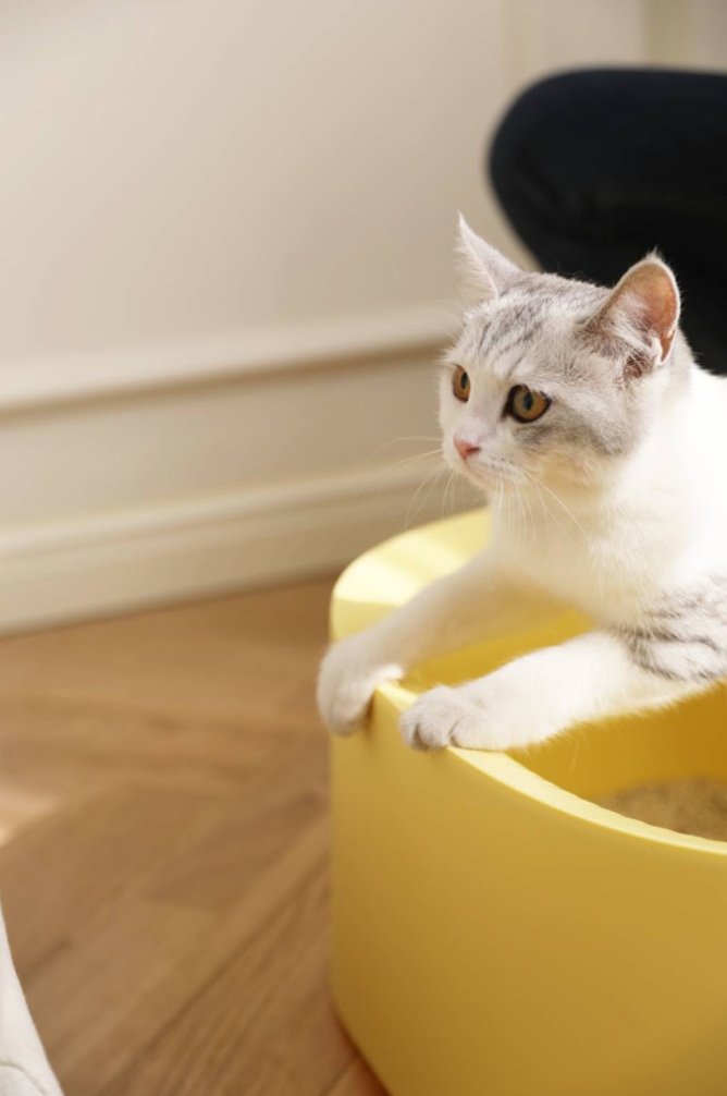 Macaron XL Cat Litter Box with Extra High Edges w Scoop Included - Cream - House Of Pets Delight (HOPD)