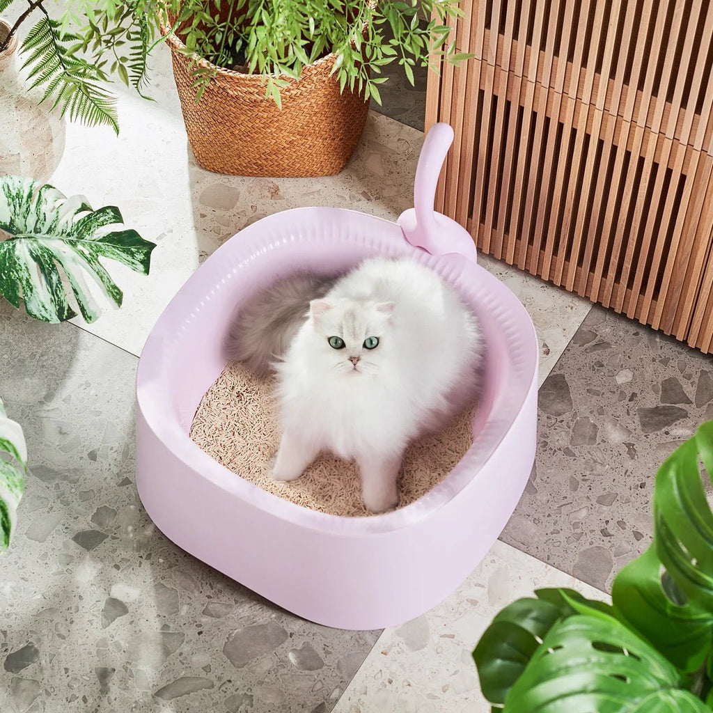 Macaron XL Cat Litter Box with Extra High Edges w Scoop Included - Taro - House Of Pets Delight (HOPD)