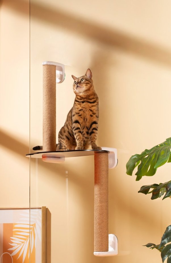 Michu Window Cat Tree with Scratch Post & Perch - House Of Pets Delight (HOPD)