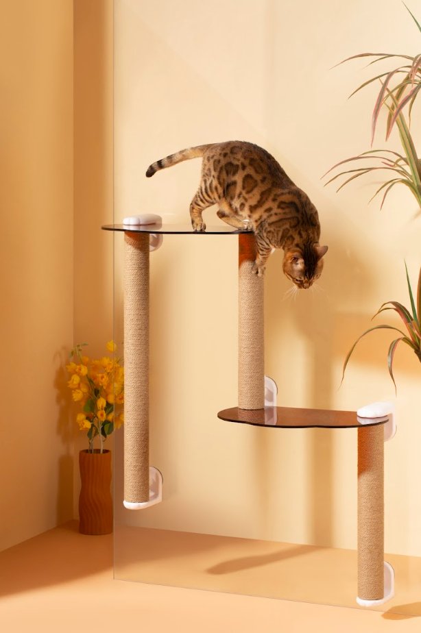 Michu Window Cat Tree with Scratch Post & Perch - House Of Pets Delight (HOPD)