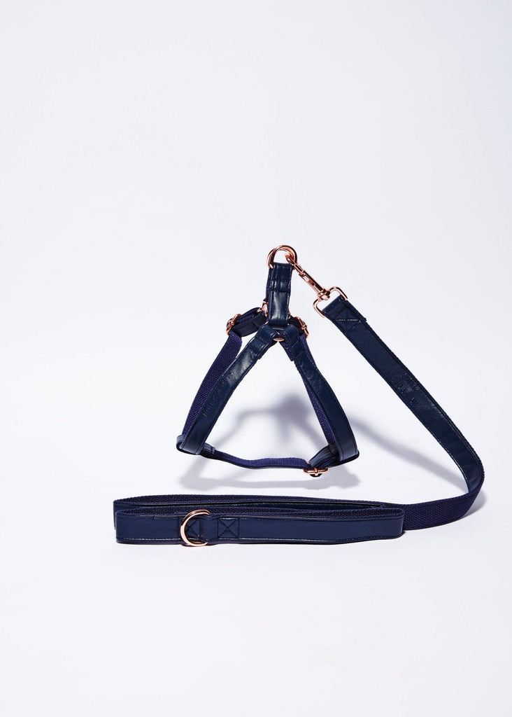 'Midnight Blue' Step In Harness Set - House Of Pets Delight (HOPD)