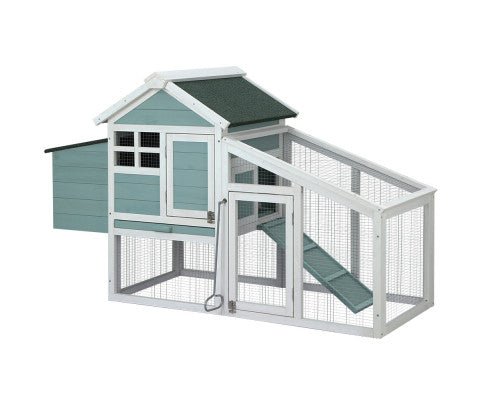 Modern Wooden Outdoor Rabbit Run Enclosure in Mint - House Of Pets Delight (HOPD)