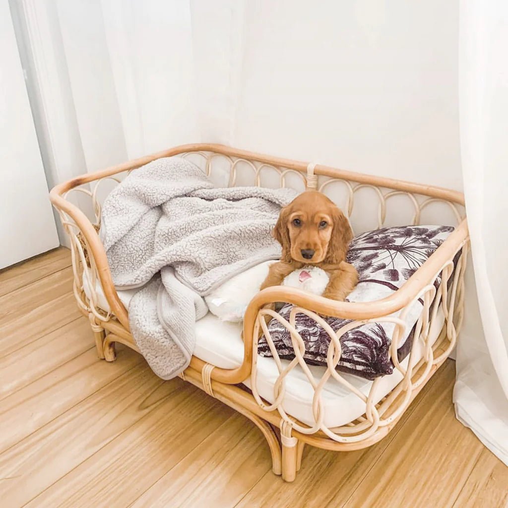 Molly Rattan Dog Bed (2 Sizes) - House Of Pets Delight (HOPD)