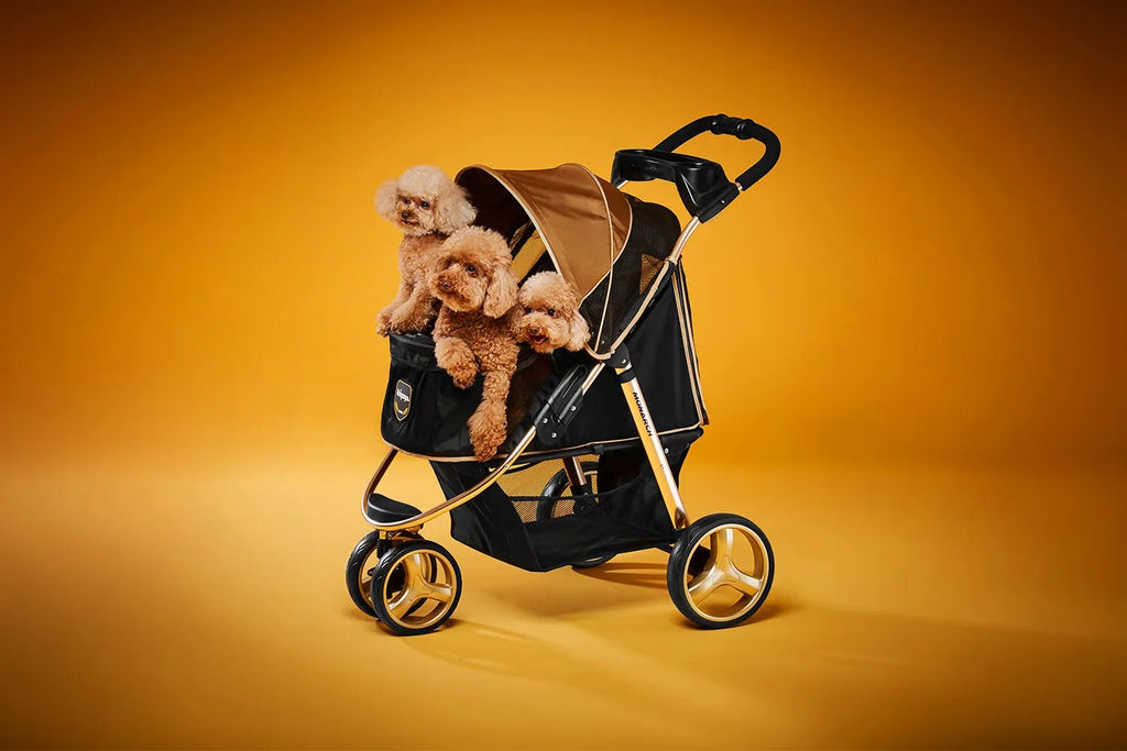 Monarch Premium Pet Jogger – Luxury Gold - House Of Pets Delight (HOPD)