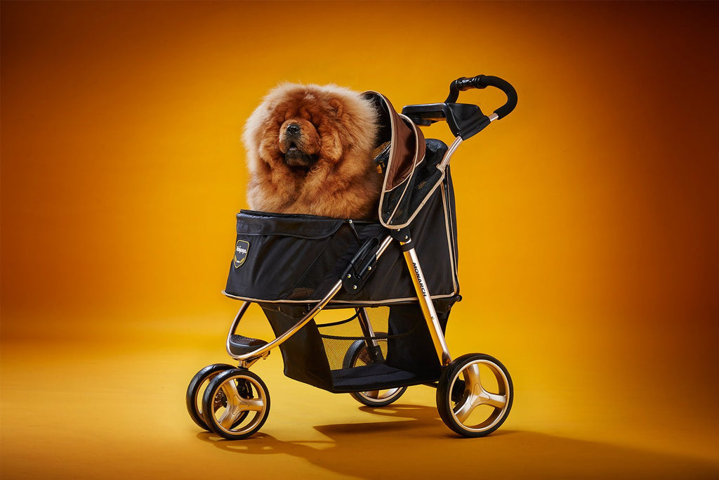 Monarch Premium Pet Jogger – Luxury Gold - House Of Pets Delight (HOPD)