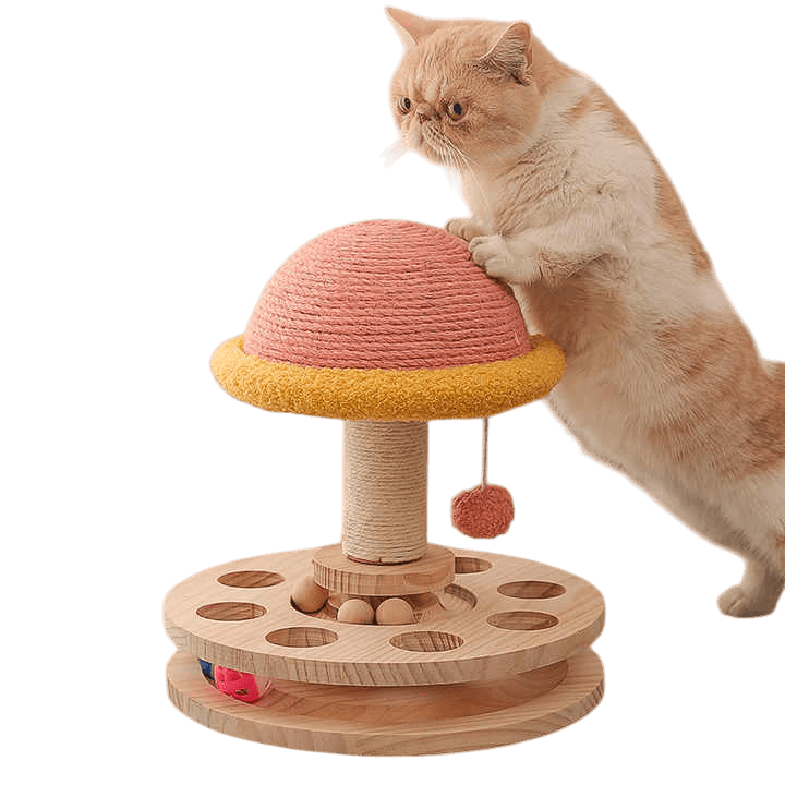 Mushie - The Interactive Cat Scratching Post with Ball Track (Large) - House Of Pets Delight (HOPD)