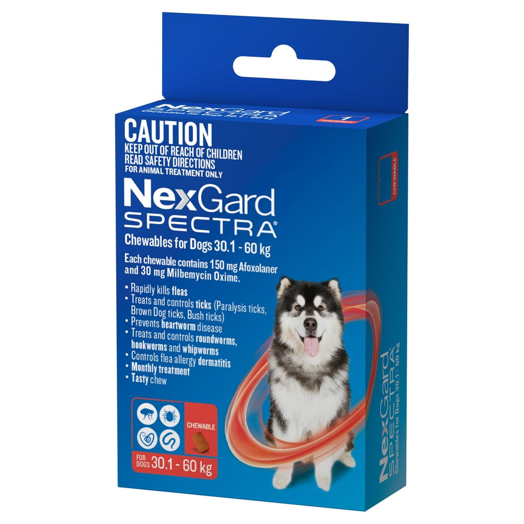 Nexgard Spectra 6 Pack 30.1 60kg House Of Pets Delight HOPD