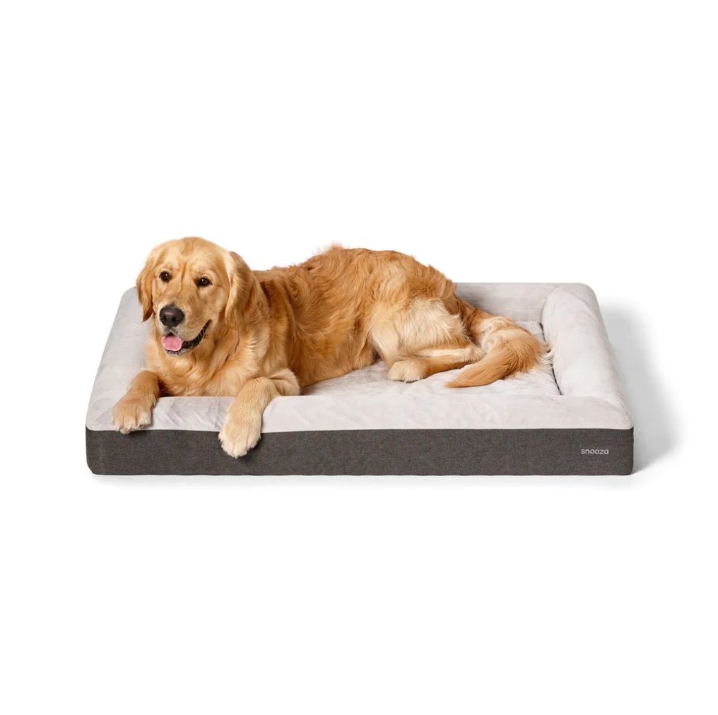 Odour Control Memory Support Bed - House Of Pets Delight (HOPD)