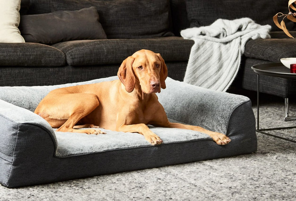 Ortho Dream Sofa (2 Sizes) - House Of Pets Delight (HOPD)