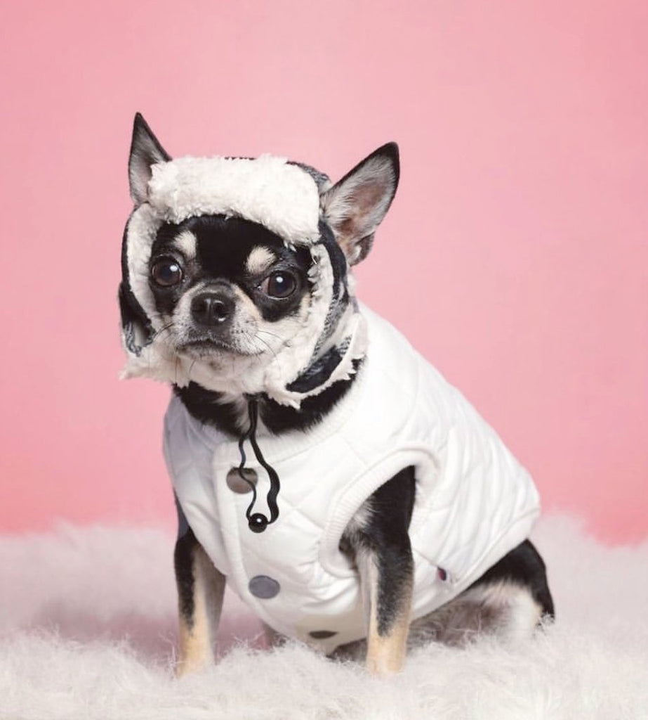 Padded Luxe Dog Vest - White - House Of Pets Delight (HOPD)