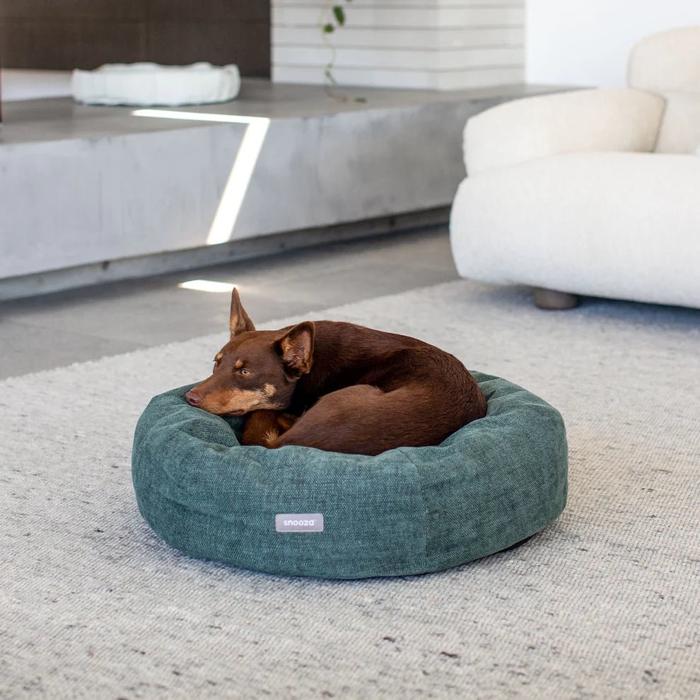 Panelled Cuddler Dog Bed – Amazon - House Of Pets Delight (HOPD)