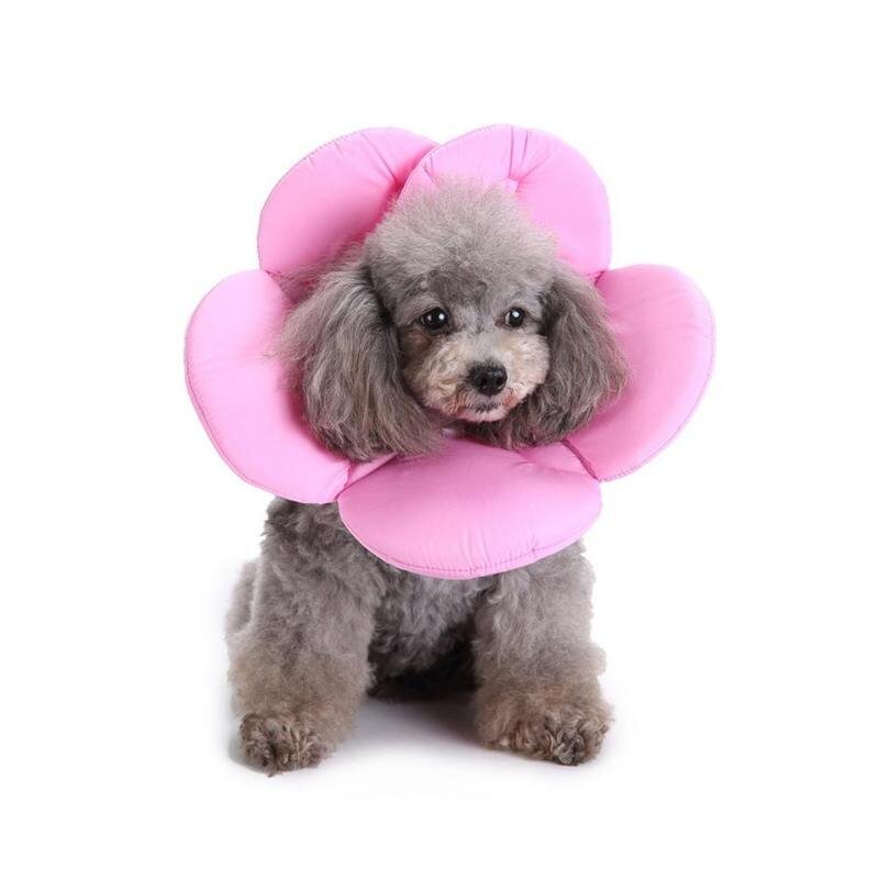 Pet Recovery Elizabethan Collar - Pink - House Of Pets Delight (HOPD)