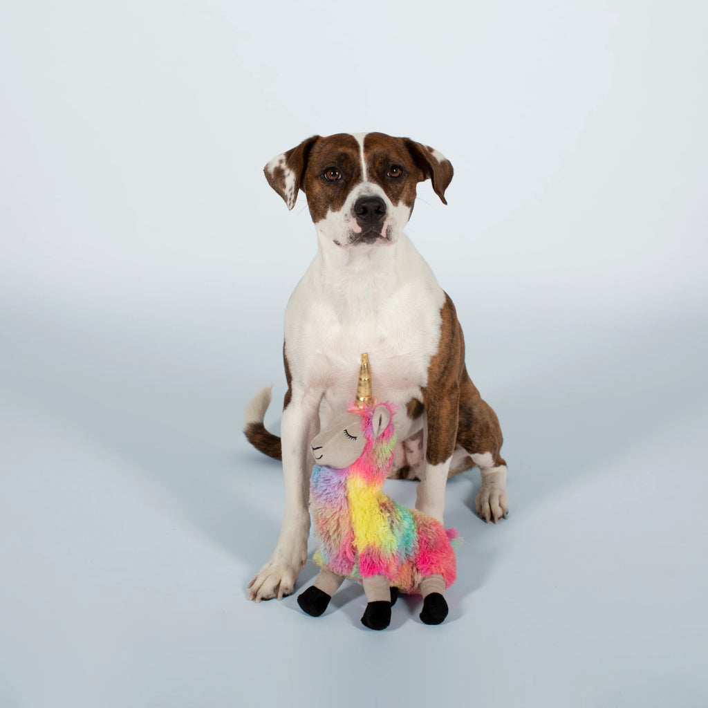 Plush Squeaker Dog Toy - Aurora the Llamacorn - House Of Pets Delight (HOPD)