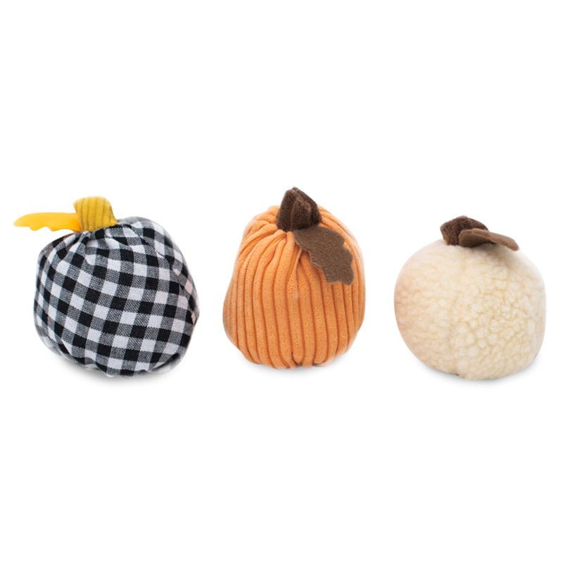 Plush Squeaker Dog Toy - Halloween Miniz 3 Pack - Gourds - House Of Pets Delight (HOPD)