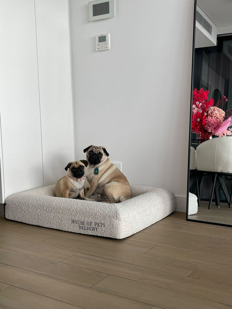 Pre - Order - HOPD Memory Foam Dog Bed in Bouclé - House Of Pets Delight (HOPD)