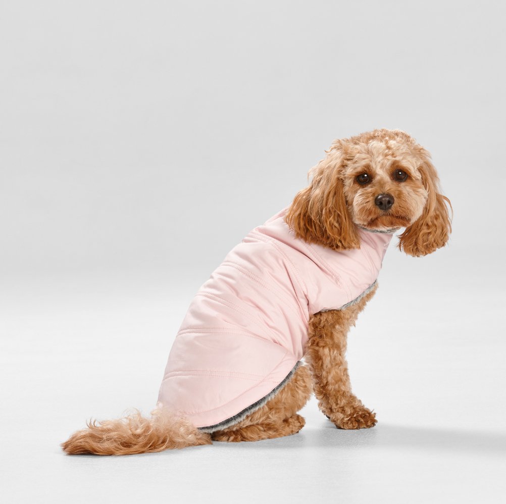 Puffer Dog Coat in Pink - House Of Pets Delight (HOPD)