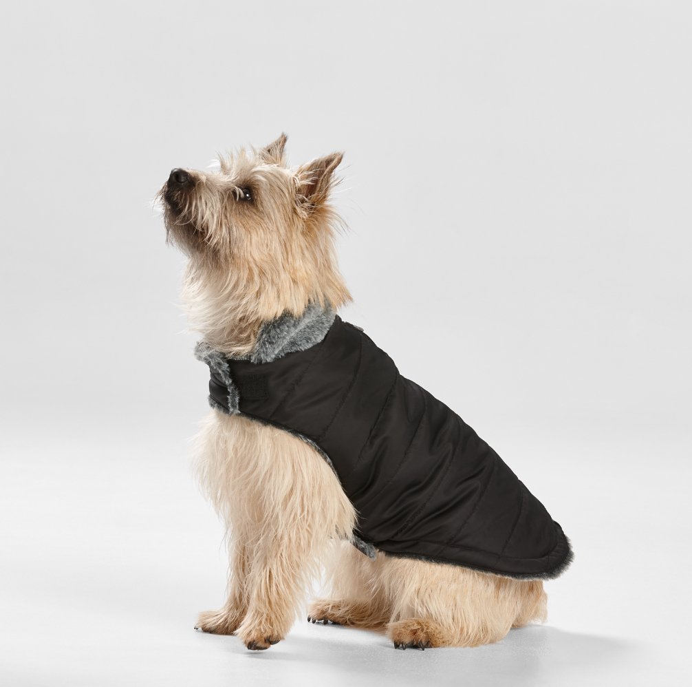 Puffer Dog Coat with Fur Collar in Black - House Of Pets Delight (HOPD)