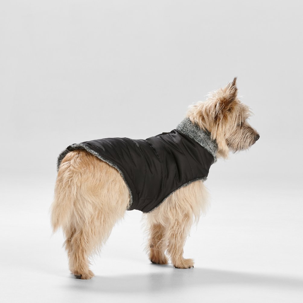 Puffer Dog Coat with Fur Collar in Black - House Of Pets Delight (HOPD)