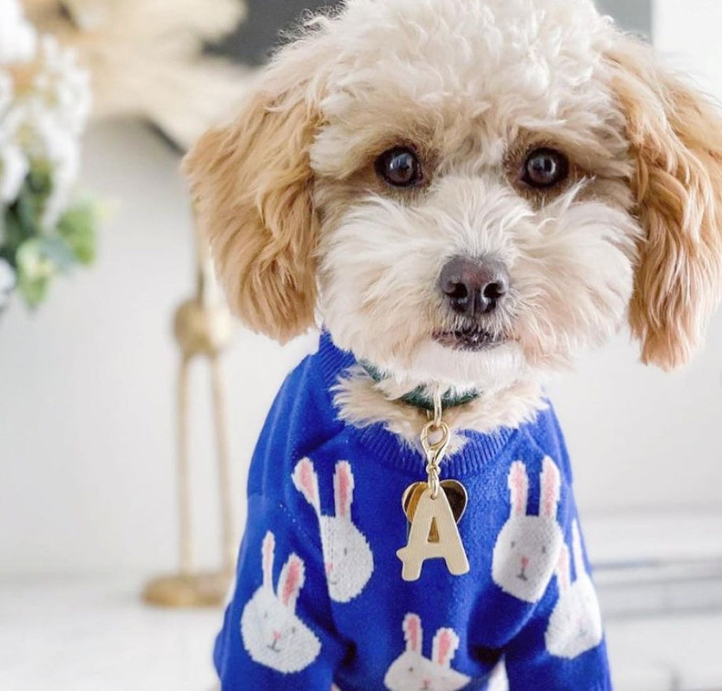 Rabbit Print Dog Sweater - Blue - House Of Pets Delight (HOPD)