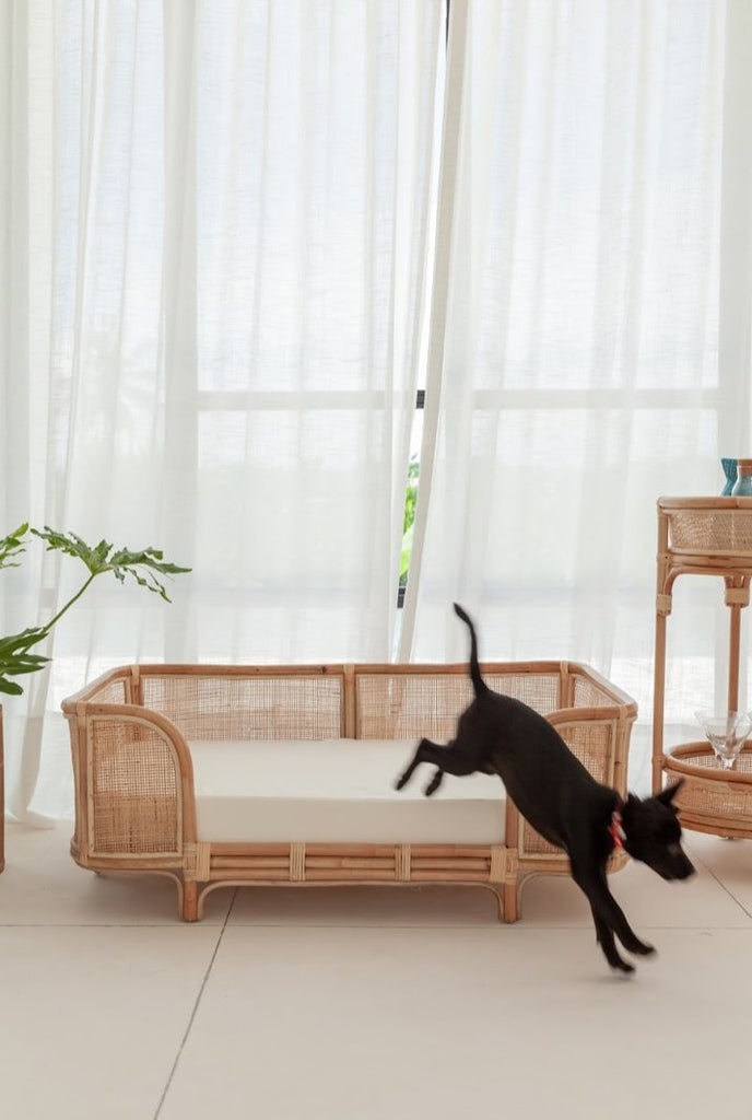 Ralf Rattan Dog Bed - House Of Pets Delight (HOPD)