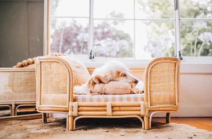 Ralf Rattan Dog Bed (2 Sizes) - Preorder for March - House Of Pets Delight (HOPD)