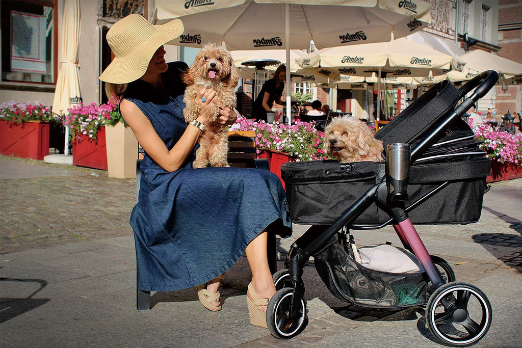 Retro Luxe Pet Stroller For Pets Up To 30kg - Prism Black - House Of Pets Delight (HOPD)