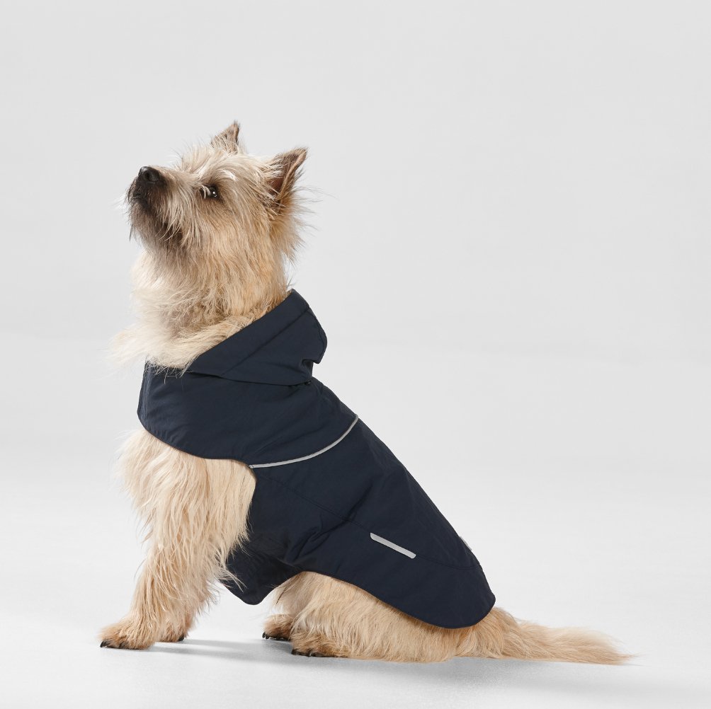 Ripstop Dog Raincoat with Hood in Navy - House Of Pets Delight (HOPD)