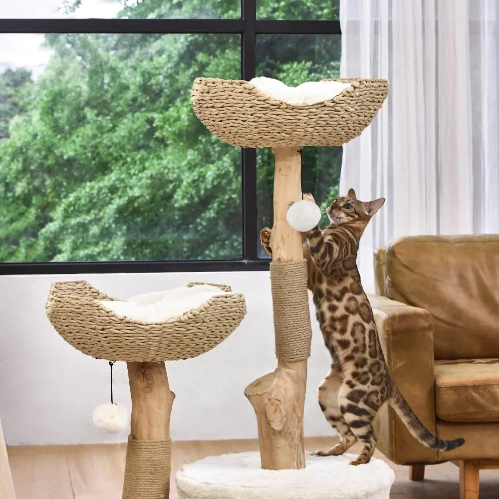 Selected Real Wood Cat Tree - Large - House Of Pets Delight (HOPD)