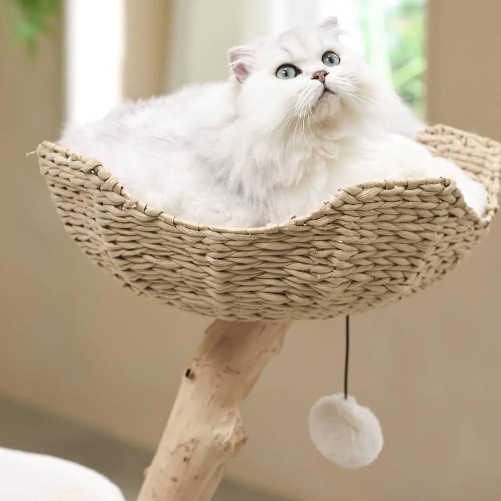 Selected Real Wood Cat Tree - Medium - House Of Pets Delight (HOPD)