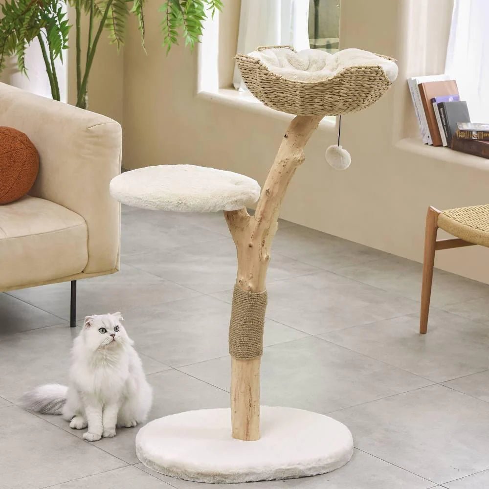 Selected Real Wood Cat Tree - Medium - House Of Pets Delight (HOPD)