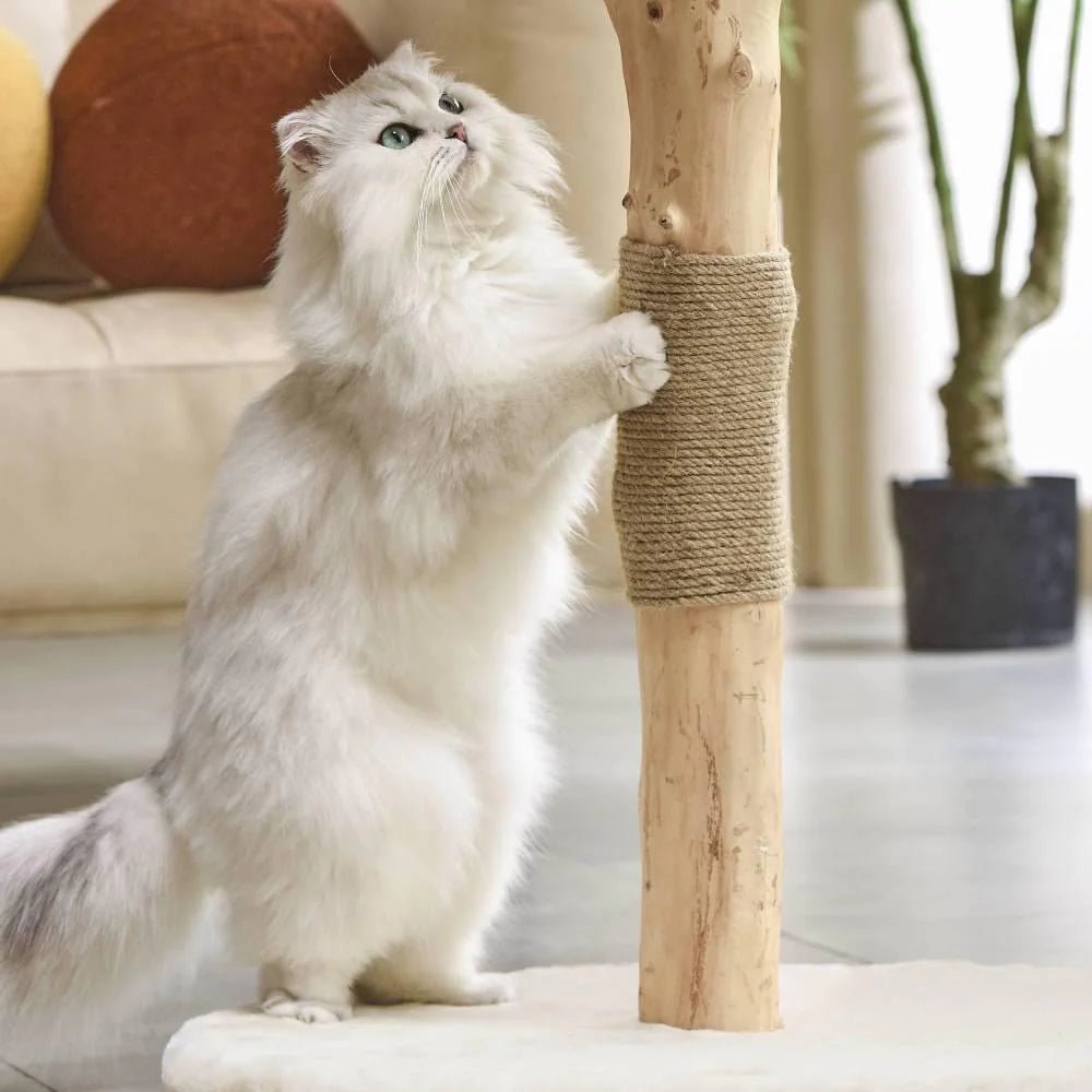 Selected Real Wood Cat Tree - Medium - House Of Pets Delight (HOPD)