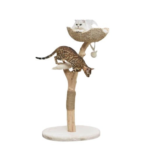 Selected Real Wood Cat Tree - Medium - House Of Pets Delight (HOPD)