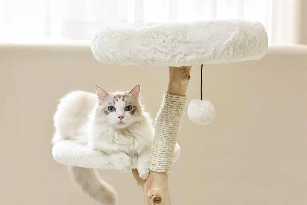 Selected Real Wood Cat Tree - Small - House Of Pets Delight (HOPD)