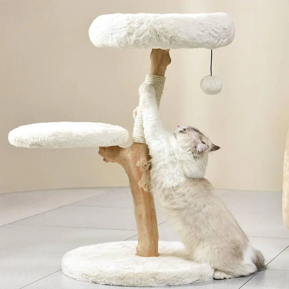 Selected Real Wood Cat Tree - Small - House Of Pets Delight (HOPD)