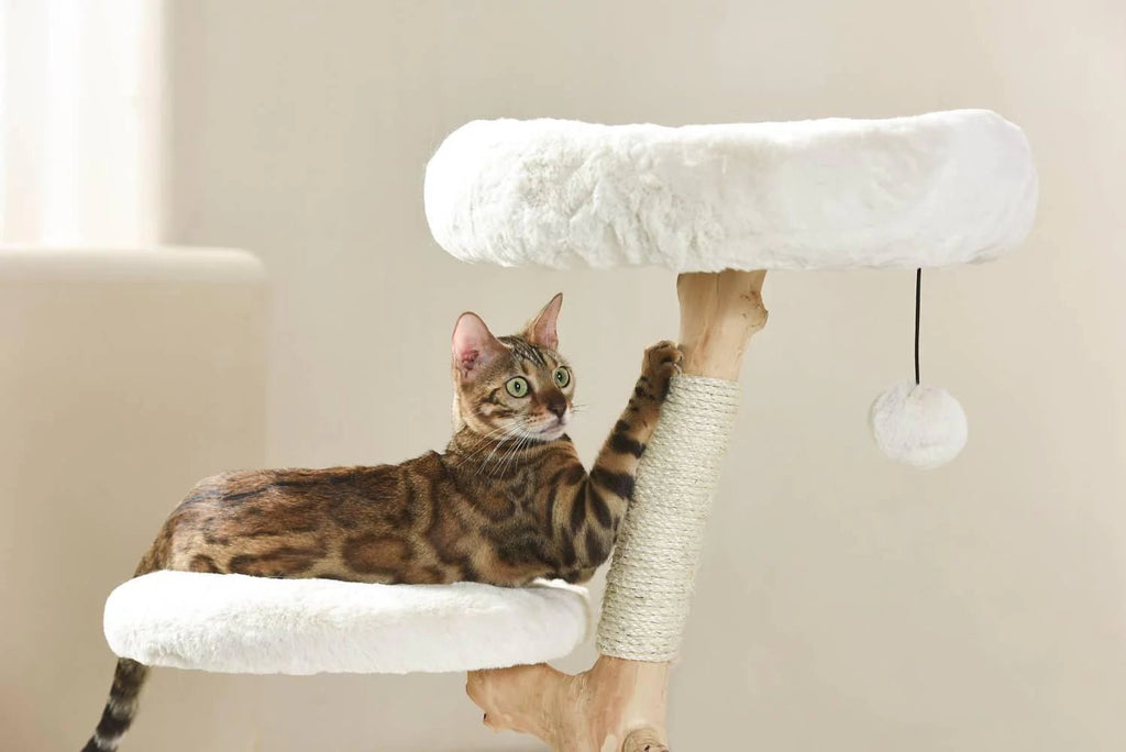 Selected Real Wood Cat Tree - Small - House Of Pets Delight (HOPD)