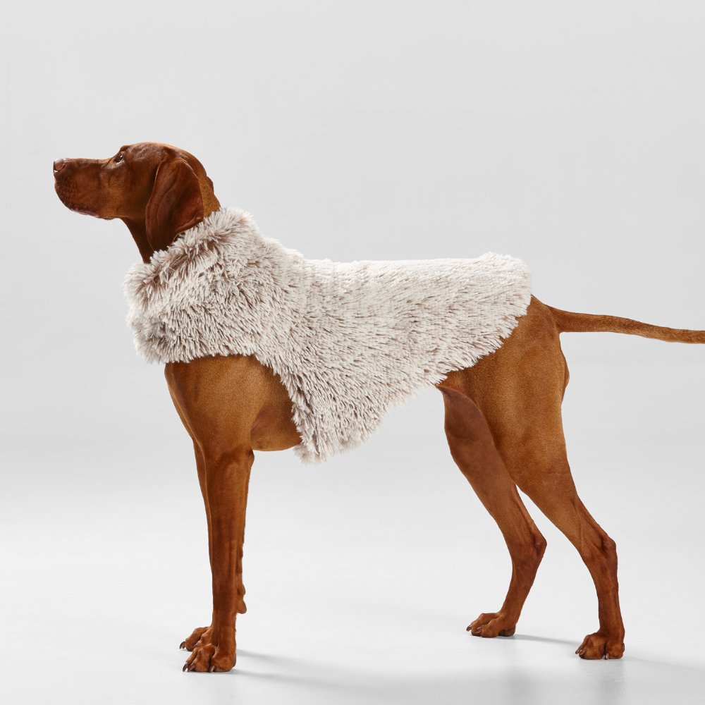 Shag Faux Fur Dog Coat in Mink - House Of Pets Delight (HOPD)