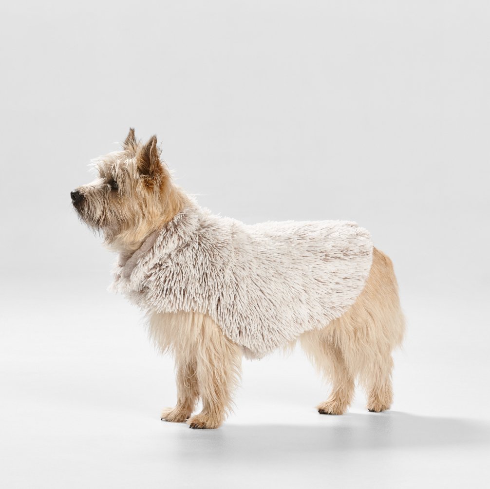 Shag Faux Fur Dog Coat in Mink - House Of Pets Delight (HOPD)