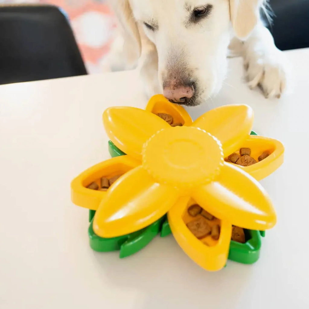 SmartyPaws Puzzler Interactive Dog Toy - Sunflower - House Of Pets Delight (HOPD)