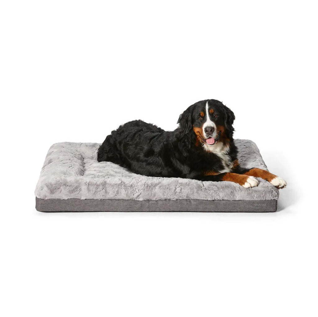 Snooza – Ultra Comfort Dog Lounge - House Of Pets Delight (HOPD)