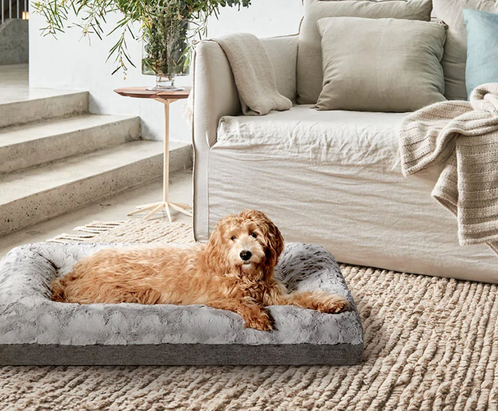 Snooza – Ultra Comfort Dog Lounge - House Of Pets Delight (HOPD)