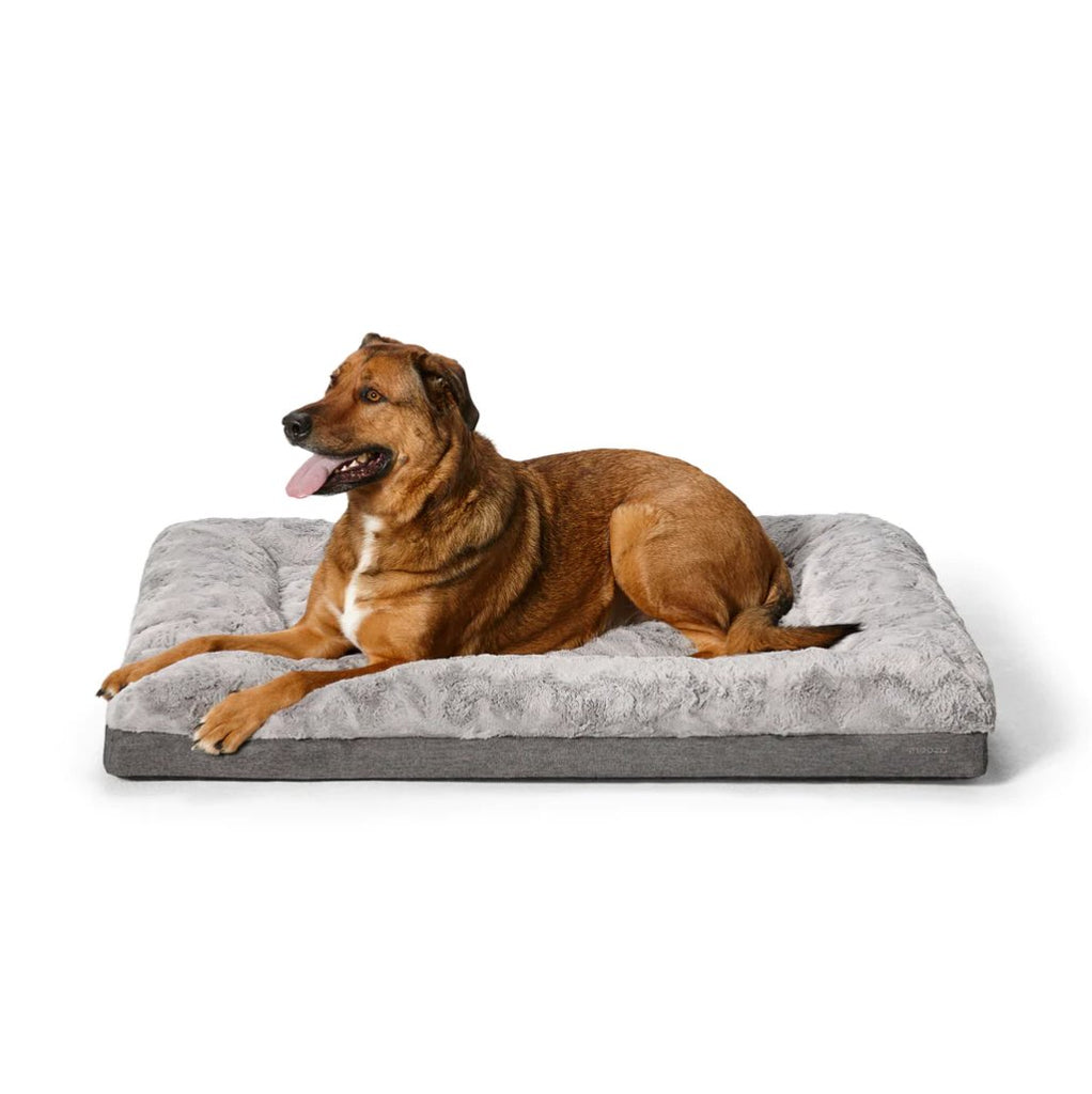 Snooza – Ultra Comfort Dog Lounge - House Of Pets Delight (HOPD)