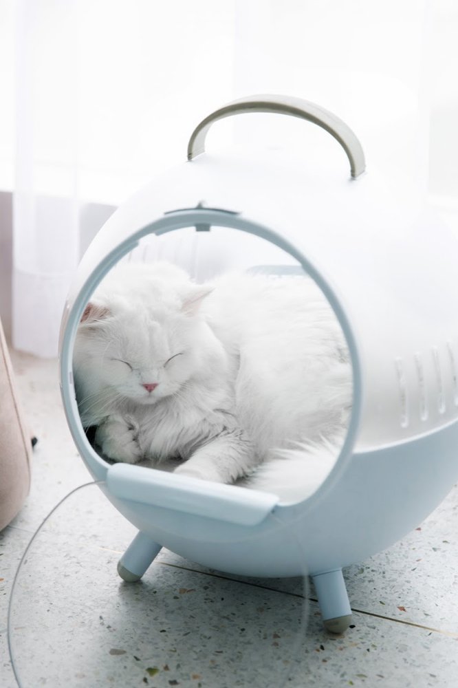 Space Capsule Cat Carrier (Oxygen Blue) - House Of Pets Delight (HOPD)