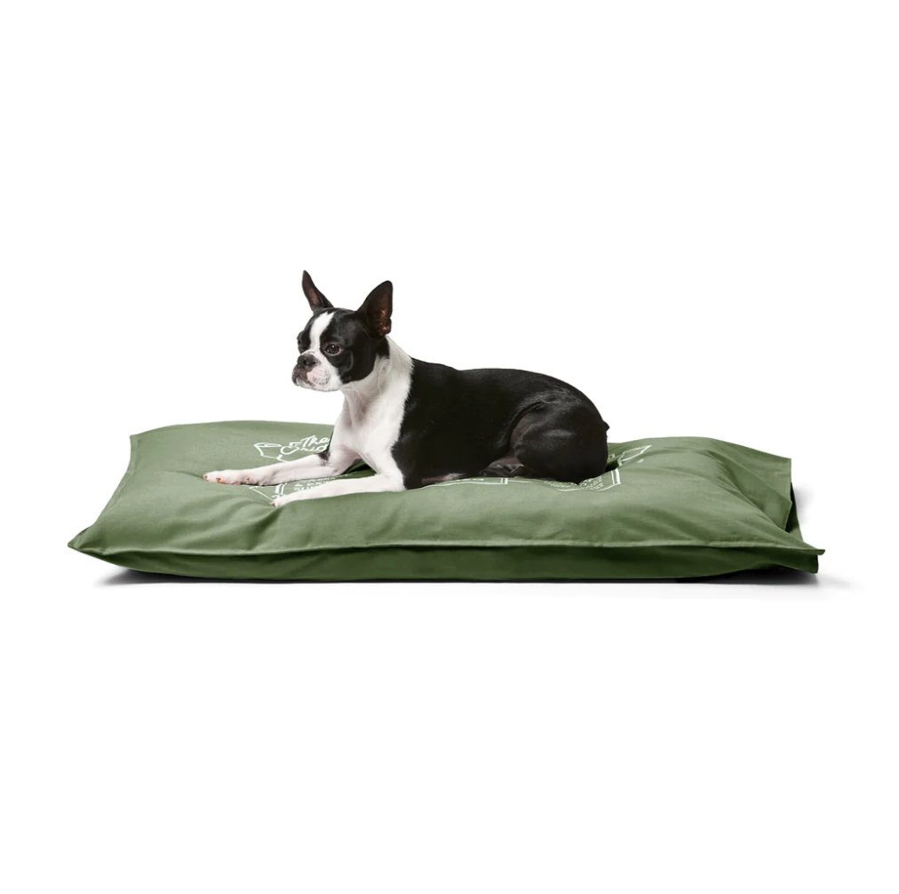 Summer Cotton Canvas Pet Futon - Fern - House Of Pets Delight (HOPD)